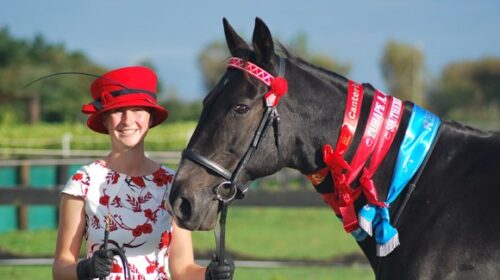 Bella-and-Monkey-King-LAR-blog-image__Re