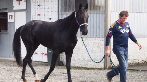 Betterthanarocket-and-Tony-Stratford-his