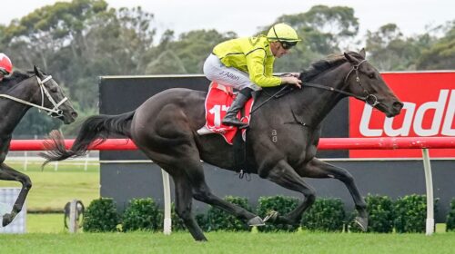 Detonator-Jack-_-Scott-Barbour-scaled-1-