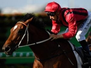 Gem on song for Doomben Cup