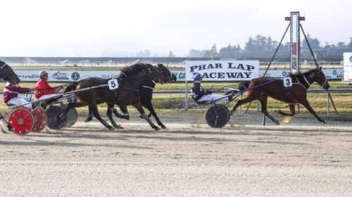 Dwindle-Star-blog-image-Timaru-Phil-Ws-7