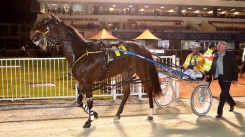 Fire-Fox-blog-image__ResizedImageWzYwMCw