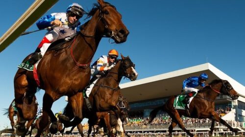 Gallops_10000_4-3_17994502_1991205_20200