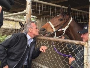 The Cleaner's trainer Mick Burles retires