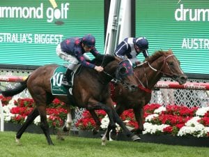 Change to Derby prep for Stars Of Carrum