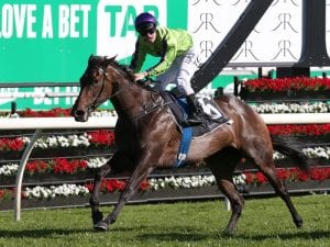 Group 1 star Global Glamour makes $1.55m