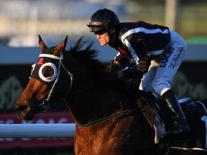 Jungle Edge heading home to Victoria
