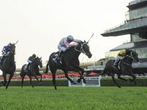 Destiny's Kiss to defend McKell Cup