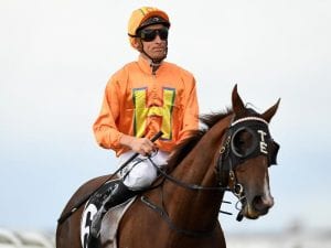 Tyzone right on edge of Stradbroke start