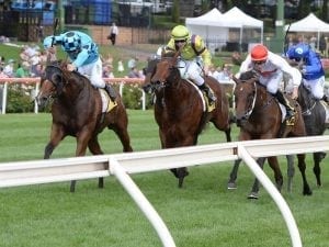 Valley race the next step for Bel Sonic
