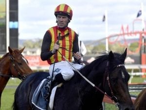 Weir Stradbroke pair to trial at Werribee