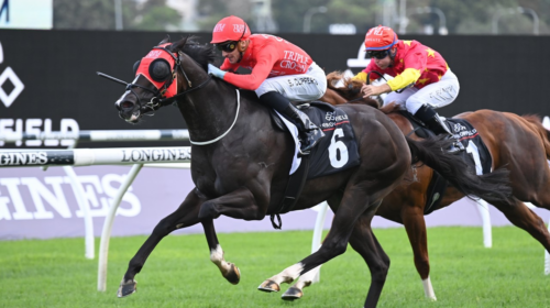 Mazu-Arrowfield-Sprint-500x280.png