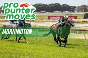 Mornington market movers for Tuesday, May 8