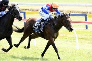 Blinkers to bring out best in Pop Star Princess