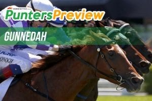 Gunnedah Cup Day Betting Preview, Tips & Odds | Sunday, May 30