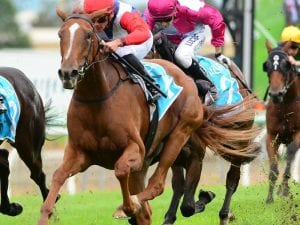 Oaks emotions run high for Winning Ways