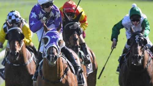 Randwick_4-3_17430980_1975814_2019102618