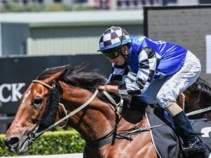 Trainers hope age no barrier in McKell Cup