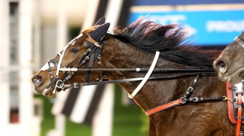 Sundees-Son-finish-Fisken-May-2022-blog-