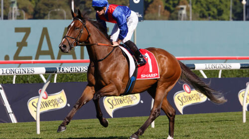 Sydney-2021_Zaaki-20210424-8177-500x280.