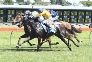 Filly takes her chances to earn Oaks berth