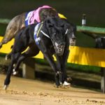 Untapped (7) holds her rivals at bay in the Sandown Cup.