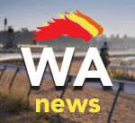 Popular WA horse trainer dies in accident