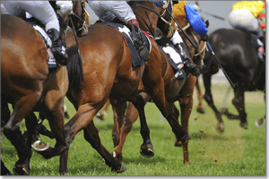 Australian gambling on horses