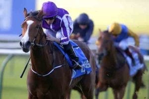 Minding wins