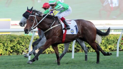 1_20220410-ST-R9-A90I7614J-scaled-1-500x