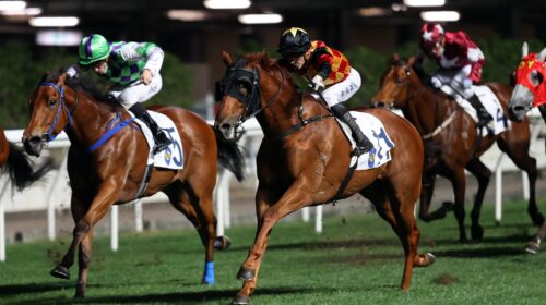 20220518-HV-R6-JCX35596o-scaled-1-500x28