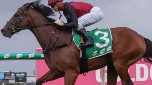 284310233_2097462003764995_2321332681697