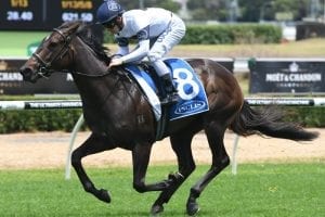 Golden Slipper winner She Will Reign