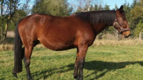 Albuquerque-blog-image__ResizedImageWzYw