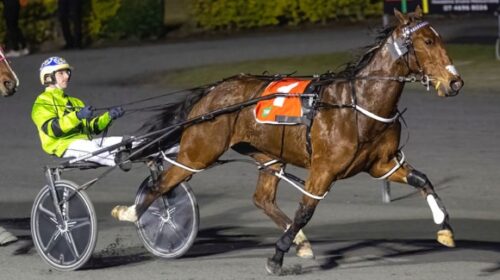 Amore-Vita-Oaks-win-blog-image-June-2022