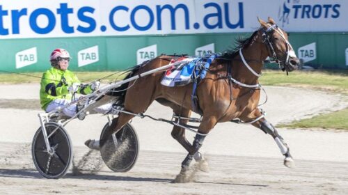 Amore-Vita-blog-image-2021-aus-v5__Resiz