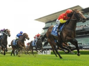 Wild Ruler
