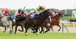 Hong Kong charge fails to impress in Group 1 Yasuda Kinen