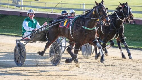 Blair-Wilmott-blog-image-Happy-Place-Add