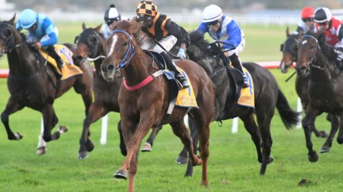 Cakebytheocean-Avondale-May-2022-RI-scal