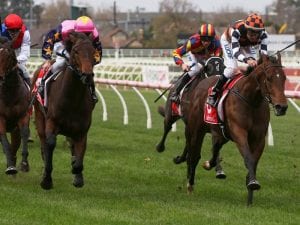 The Astrologist scores tough Caulfield win