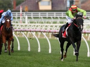 Begood Toya Mother makes it five in a row