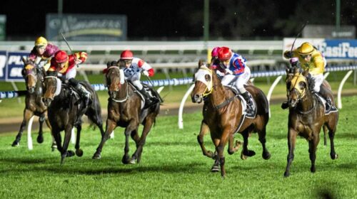 Clifford-Park-Toowoomba-1024x576-1-500x2
