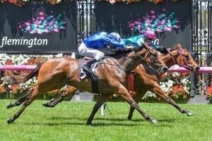 Early Flemington appointment for Crossing