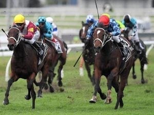 Queensland Oaks winner to run in Derby