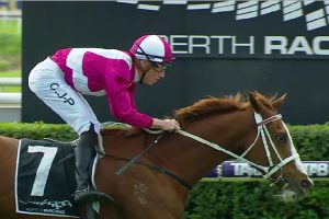Devoted convincing win in the Raconteur Stakes at Belmont