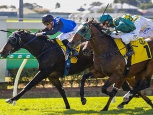 Mark Newnham lands interstate 2YO treble