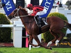 Divine Unicorn wins Gr 3 Tattersall's Cup