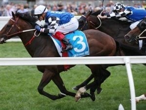 Brave Smash for Chris Waller Everest slot
