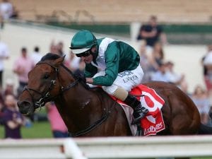 Flemington race next step for Villermont